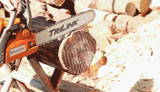 화려한 Sanlian 로깅 테스트